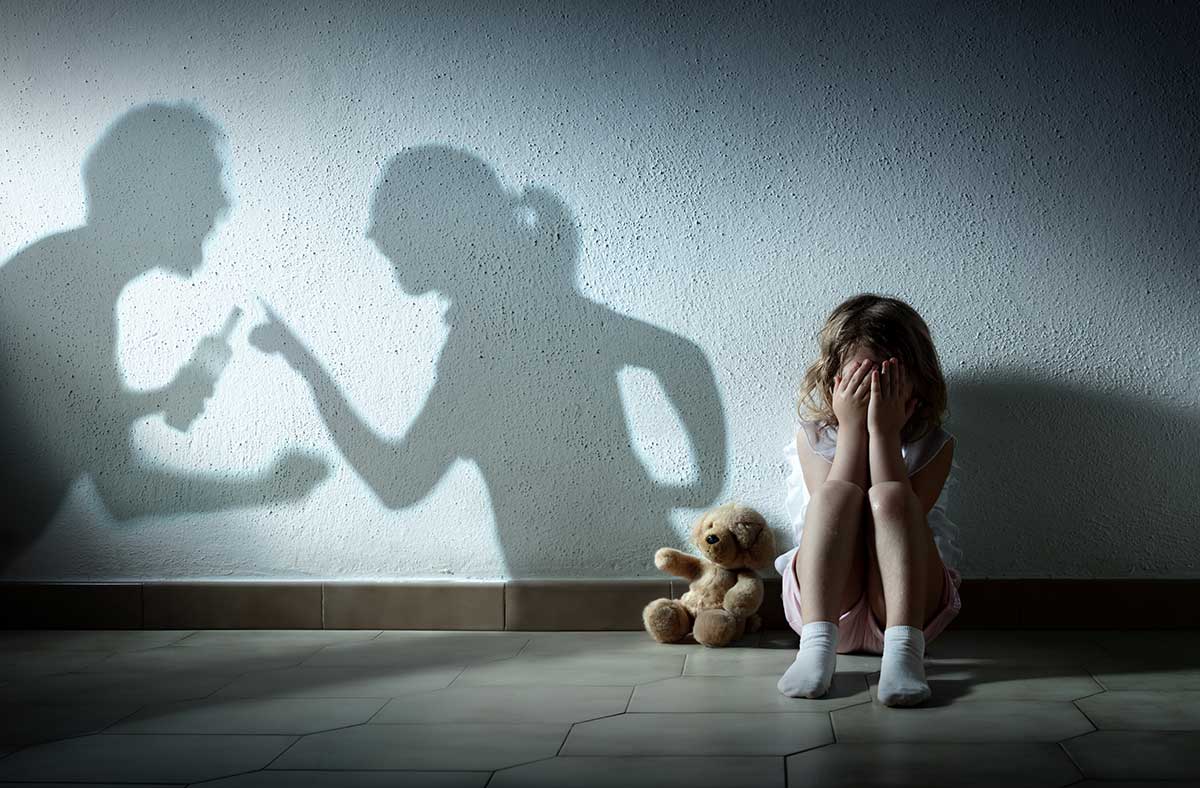Assault Family Violence Allegations 